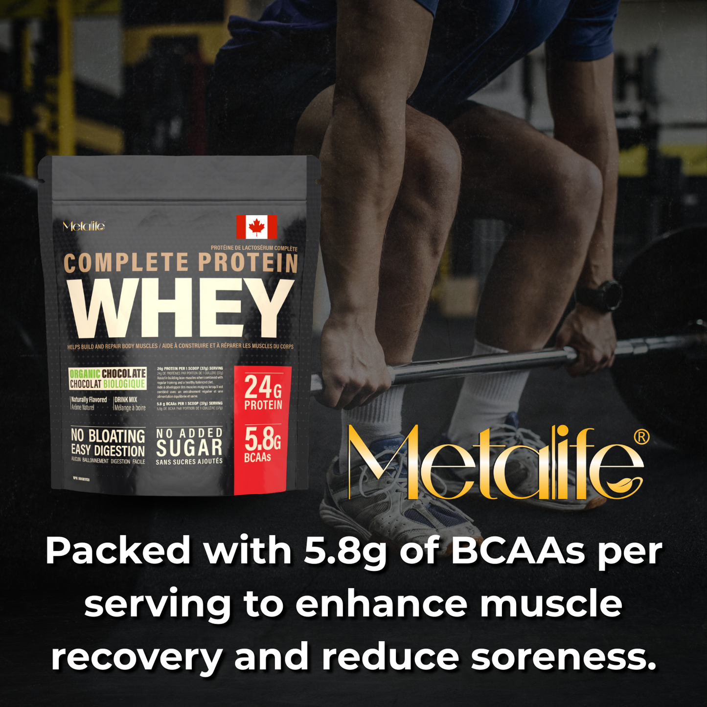 MetaLife Complete Whey Protein Powder – Organic Chocolate
