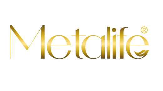 MetaLife logo