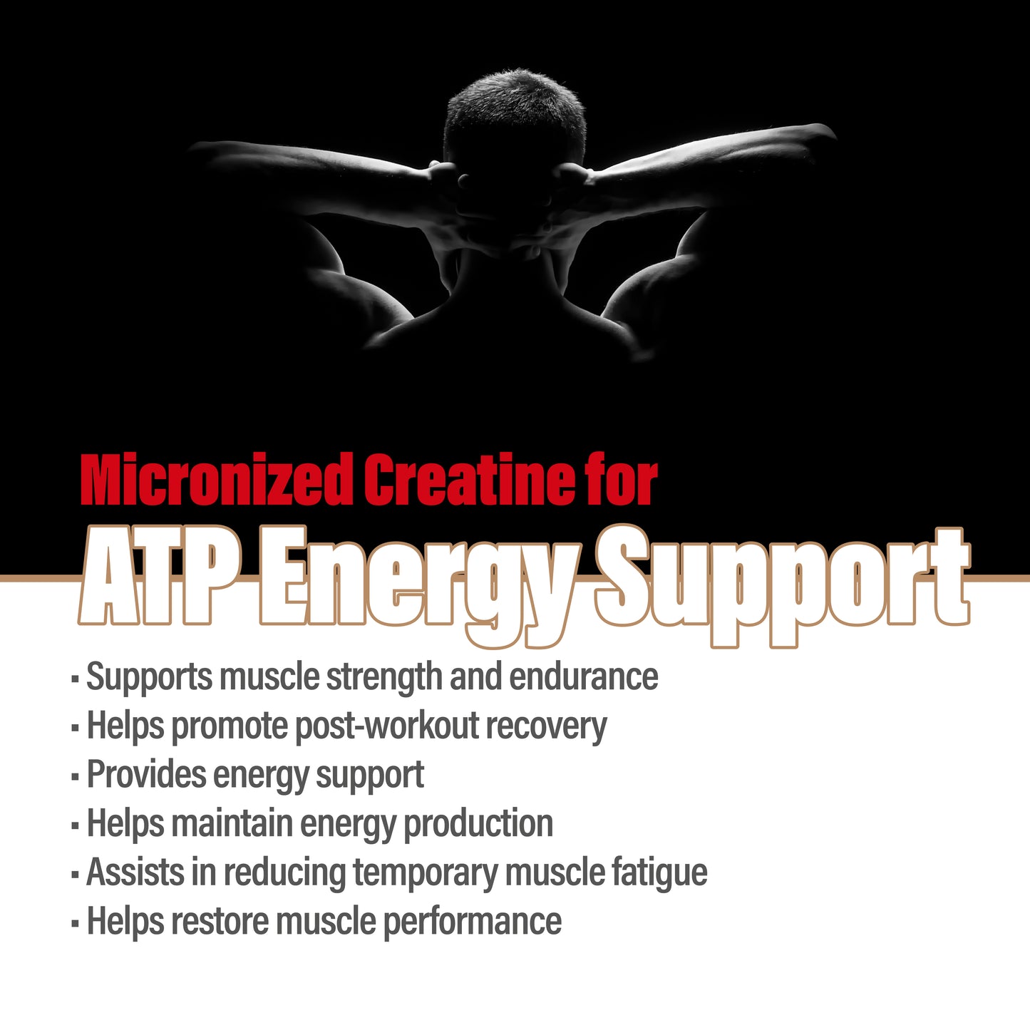 MetaLife 100% Pure Creatine Monohydrate - 100 Servings (500 g)